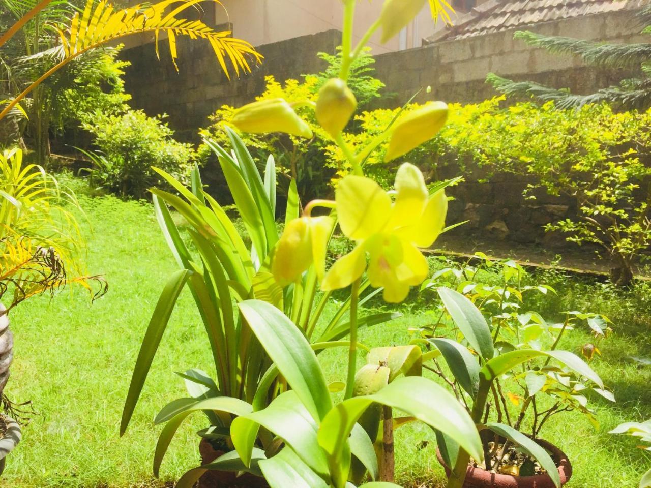 Ganesh House Homestay Kovalam Zewnętrze zdjęcie